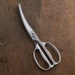 Photo8: Kitchen Scissors Seki Magoroku Disassembly Curved Forged All Stainless Steel (8)